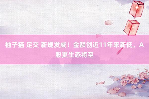 柚子猫 足交 新规发威！金额创近11年来新低，A股更生态将至