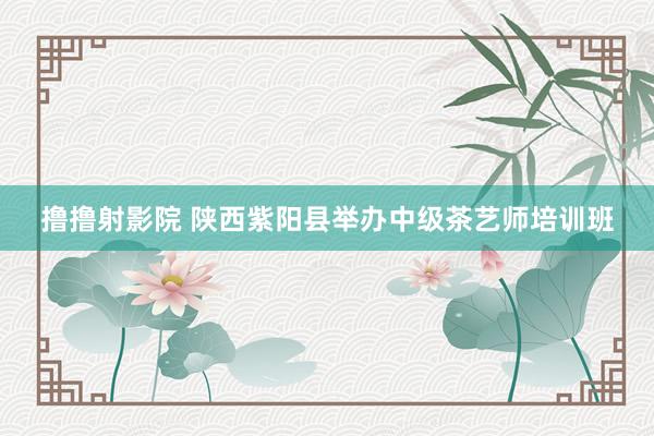 撸撸射影院 陕西紫阳县举办中级茶艺师培训班