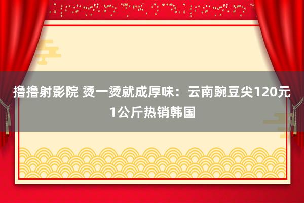撸撸射影院 烫一烫就成厚味：云南豌豆尖120元1公斤热销韩国