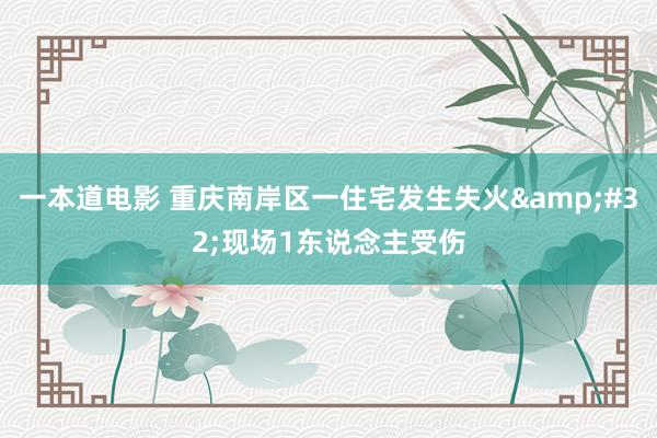 一本道电影 重庆南岸区一住宅发生失火&#32;现场1东说念主受伤