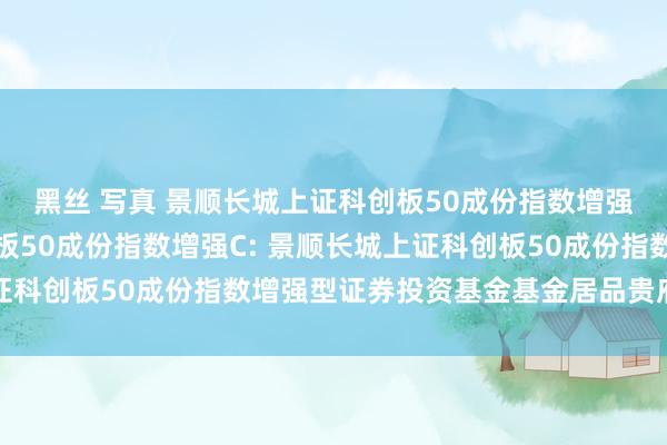 黑丝 写真 景顺长城上证科创板50成份指数增强A,景顺长城上证科创板50成份指数增强C: 景顺长城上证科创板50成份指数增强型证券投资基金基金居品贵府摘要更新