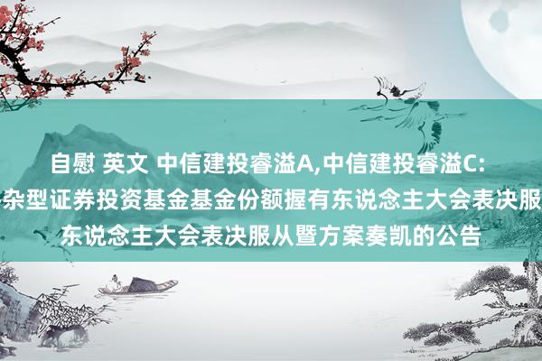 自慰 英文 中信建投睿溢A,中信建投睿溢C: 对于中信建投睿溢搀杂型证券投资基金基金份额握有东说念主大会表决服从暨方案奏凯的公告