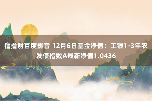 撸撸射百度影音 12月6日基金净值：工银1-3年农发债指数A最新净值1.0436