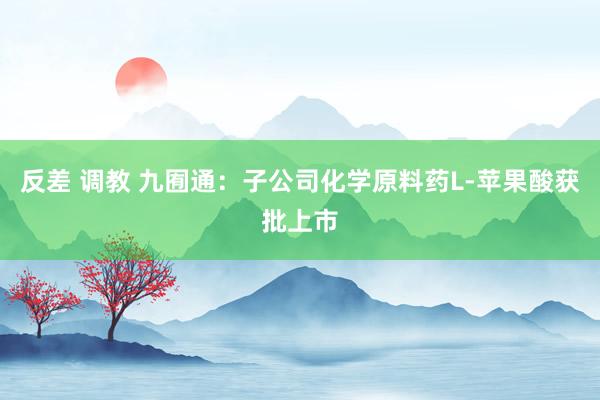 反差 调教 九囿通：子公司化学原料药L-苹果酸获批上市