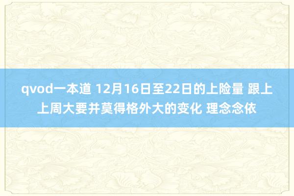qvod一本道 12月16日至22日的上险量 跟上上周大要并莫得格外大的变化 理念念依
