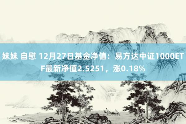 妹妹 自慰 12月27日基金净值：易方达中证1000ETF最新净值2.5251，涨0.18%