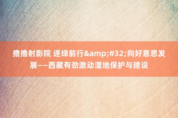 撸撸射影院 逐绿前行&#32;向好意思发展——西藏有劲激动湿地保护与建设