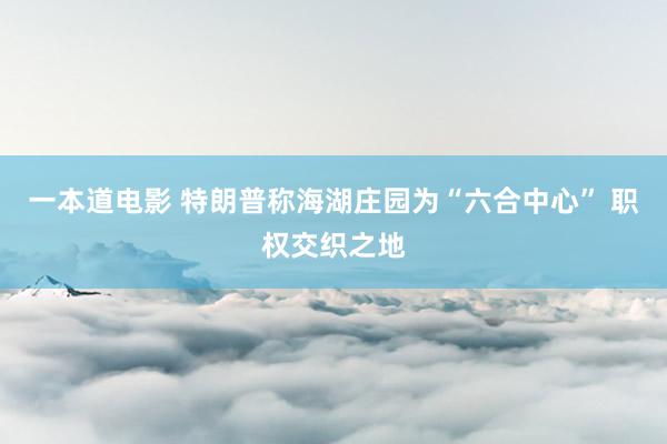 一本道电影 特朗普称海湖庄园为“六合中心” 职权交织之地