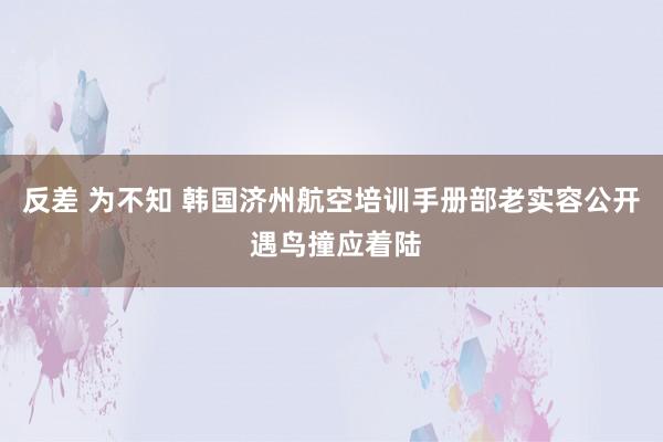 反差 为不知 韩国济州航空培训手册部老实容公开 遇鸟撞应着陆