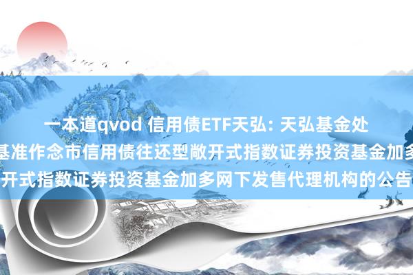 一本道qvod 信用债ETF天弘: 天弘基金处分有限公司对于天弘深证基准作念市信用债往还型敞开式指数证券投资基金加多网下发售代理机构的公告