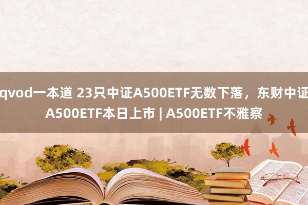 qvod一本道 23只中证A500ETF无数下落，东财中证A500ETF本日上市 | A500ETF不雅察
