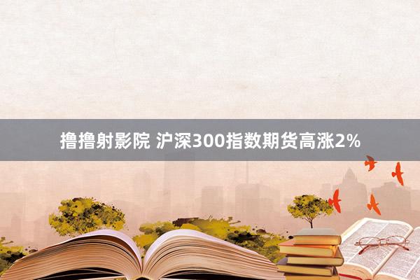 撸撸射影院 沪深300指数期货高涨2%