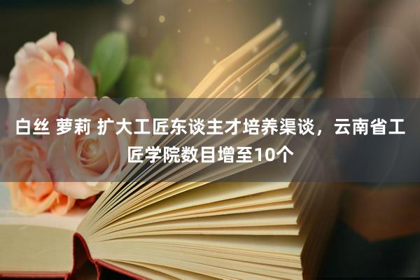白丝 萝莉 扩大工匠东谈主才培养渠谈，云南省工匠学院数目增至10个
