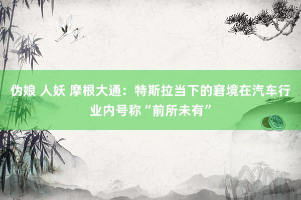 伪娘 人妖 摩根大通：特斯拉当下的窘境在汽车行业内号称“前所未有”