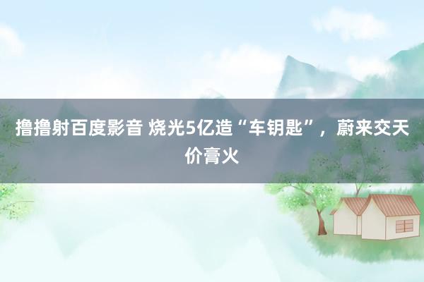 撸撸射百度影音 烧光5亿造“车钥匙”，蔚来交天价膏火