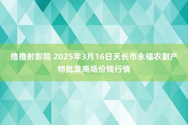 撸撸射影院 2025年3月16日天长市永福农副产物批发商场价钱行情
