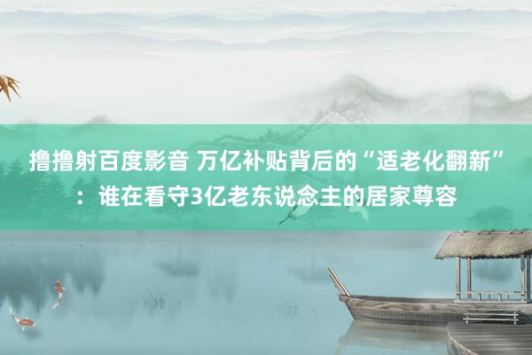撸撸射百度影音 万亿补贴背后的“适老化翻新”：谁在看守3亿老东说念主的居家尊容