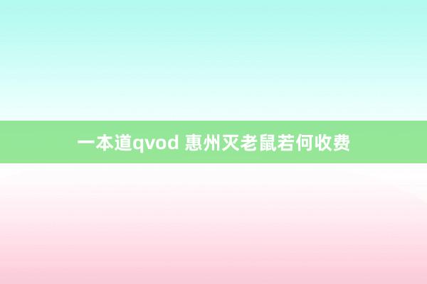 一本道qvod 惠州灭老鼠若何收费