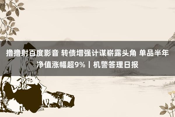 撸撸射百度影音 转债增强计谋崭露头角 单品半年净值涨幅超9%丨机警答理日报