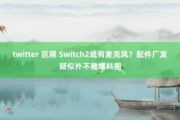 twitter 巨屌 Switch2或有麦克风？配件厂发疑似外不雅爆料图
