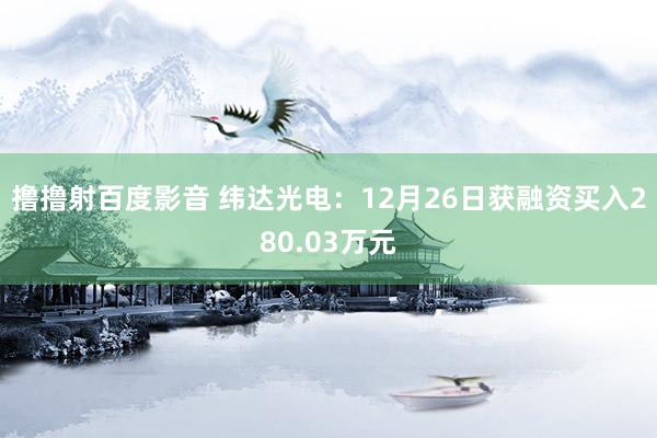 撸撸射百度影音 纬达光电：12月26日获融资买入280.03万元