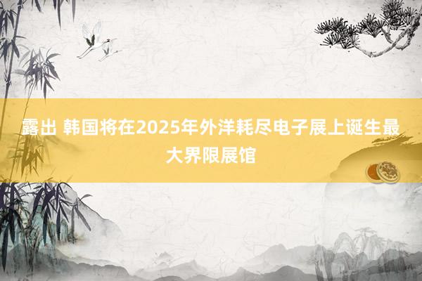 露出 韩国将在2025年外洋耗尽电子展上诞生最大界限展馆