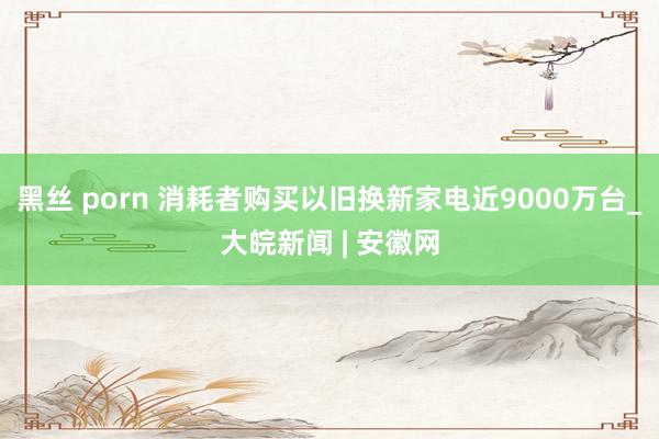 黑丝 porn 消耗者购买以旧换新家电近9000万台_大皖新闻 | 安徽网