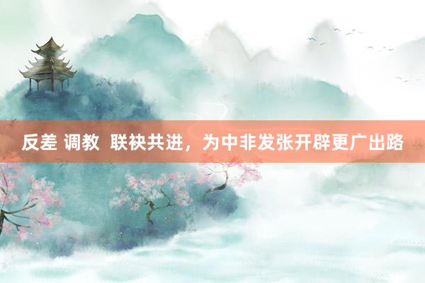 反差 调教  联袂共进，为中非发张开辟更广出路