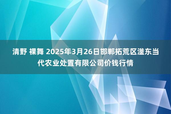 清野 裸舞 2025年3月26日邯郸拓荒区滏东当代农业处置有限公司价钱行情