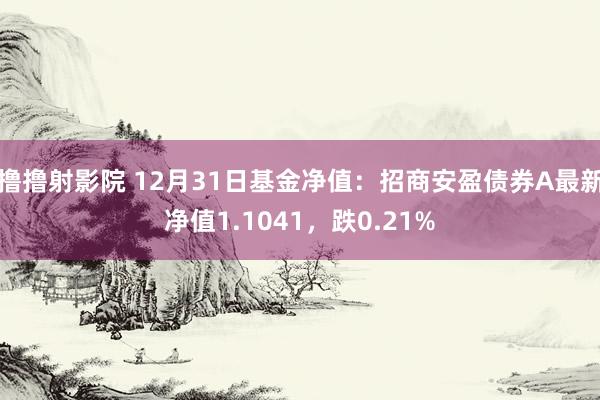 撸撸射影院 12月31日基金净值：招商安盈债券A最新净值1.1041，跌0.21%