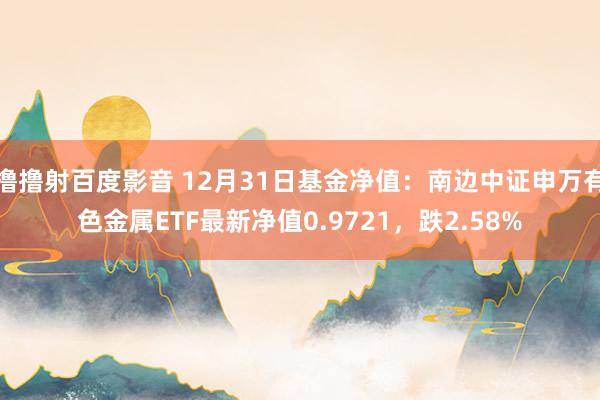 撸撸射百度影音 12月31日基金净值：南边中证申万有色金属ETF最新净值0.9721，跌2.58%