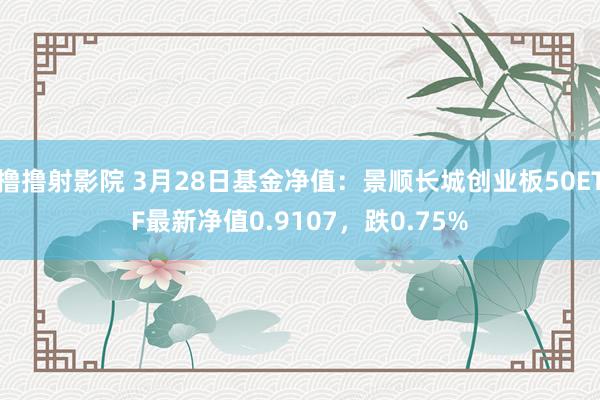 撸撸射影院 3月28日基金净值：景顺长城创业板50ETF最新净值0.9107，跌0.75%