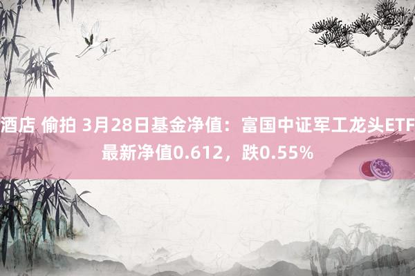 酒店 偷拍 3月28日基金净值：富国中证军工龙头ETF最新净值0.612，跌0.55%