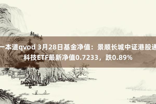 一本道qvod 3月28日基金净值：景顺长城中证港股通科技ETF最新净值0.7233，跌0.89%