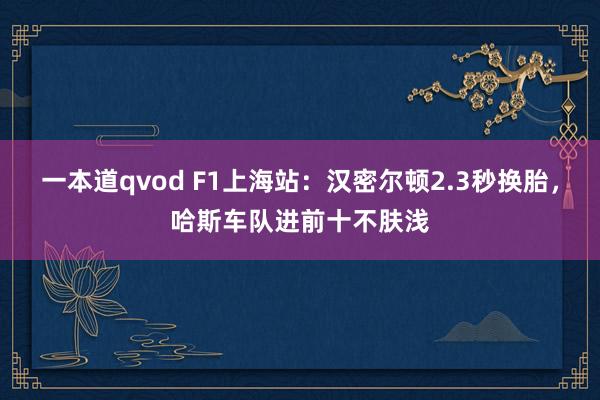 一本道qvod F1上海站：汉密尔顿2.3秒换胎，哈斯车队进前十不肤浅