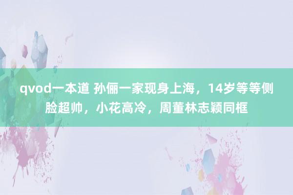 qvod一本道 孙俪一家现身上海，14岁等等侧脸超帅，小花高冷，周董林志颖同框