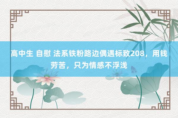 高中生 自慰 法系铁粉路边偶遇标致208，用钱劳苦，只为情感不浮浅
