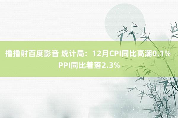 撸撸射百度影音 统计局：12月CPI同比高潮0.1% PPI同比着落2.3%