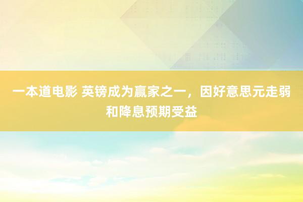 一本道电影 英镑成为赢家之一，因好意思元走弱和降息预期受益