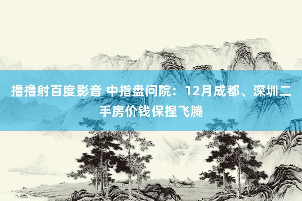 撸撸射百度影音 中指盘问院：12月成都、深圳二手房价钱保捏飞腾