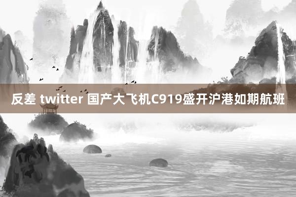 反差 twitter 国产大飞机C919盛开沪港如期航班