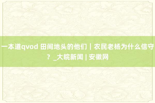 一本道qvod 田间地头的他们｜农民老杨为什么信守？_大皖新闻 | 安徽网