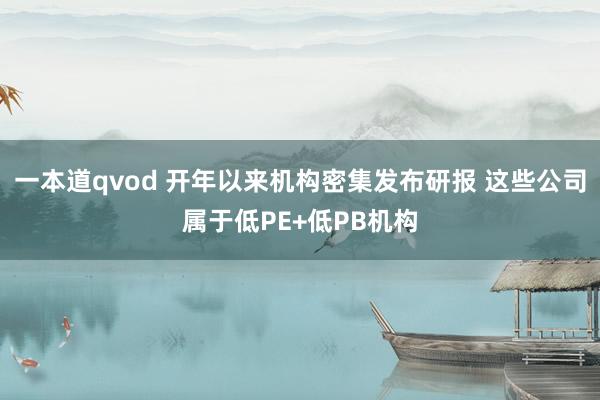 一本道qvod 开年以来机构密集发布研报 这些公司属于低PE+低PB机构
