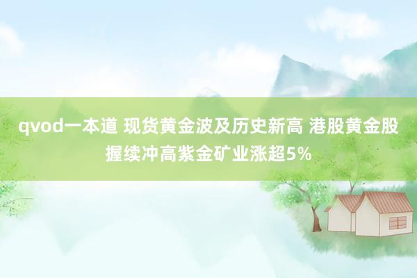 qvod一本道 现货黄金波及历史新高 港股黄金股握续冲高紫金矿业涨超5%