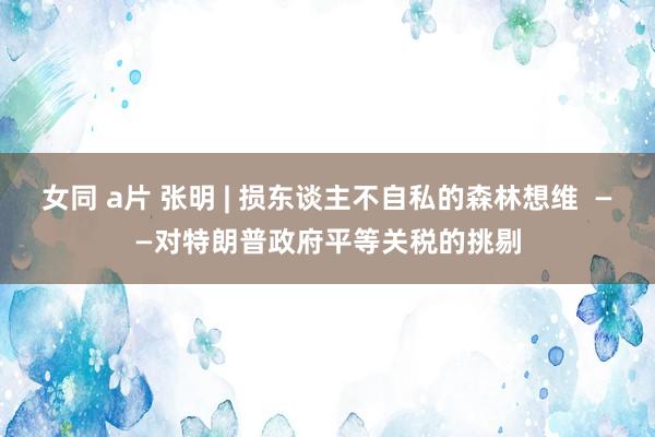 女同 a片 张明 | 损东谈主不自私的森林想维  ——对特朗普政府平等关税的挑剔