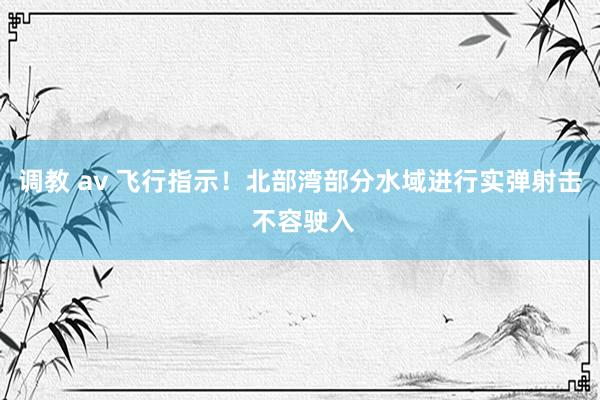 调教 av 飞行指示！北部湾部分水域进行实弹射击 不容驶入