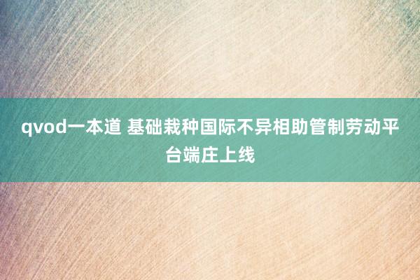 qvod一本道 基础栽种国际不异相助管制劳动平台端庄上线