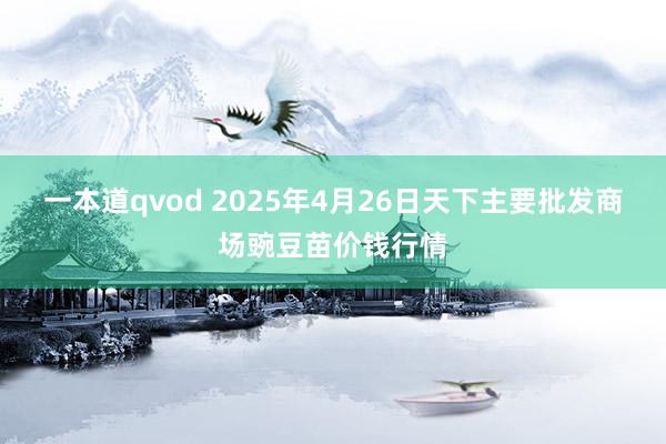 一本道qvod 2025年4月26日天下主要批发商场豌豆苗价钱行情