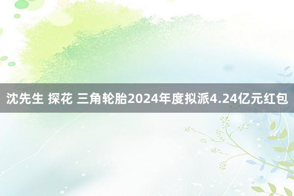 沈先生 探花 三角轮胎2024年度拟派4.24亿元红包